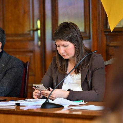 Буковина фіналізувала роботу над проєктом оновленої стратегії розвитку регіону до 2027 року